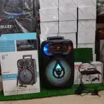 Ramzan Deal #7: GTS-1718 8-Inch High-Power Wireless Speaker + Yoga DM-193 Professional Headset Mic