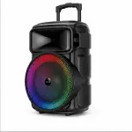 KTS-2231 12 Inch Trolley Bluetooth Speaker Wireless Microphone RGB Light USB TF FM Radio Karaoke Portable Speaker