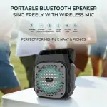 GTS-2420 6.5 Inch Bluetooth Karaoke Speaker with Wireless Mic – Portable Party Speaker – Best Price in Pakistan