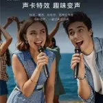 BTS-2256 8 Inch Bluetooth Karaoke Speaker with 2 Wireless Microphones – KTV Mode & Long Battery – Best Price in Pakistan